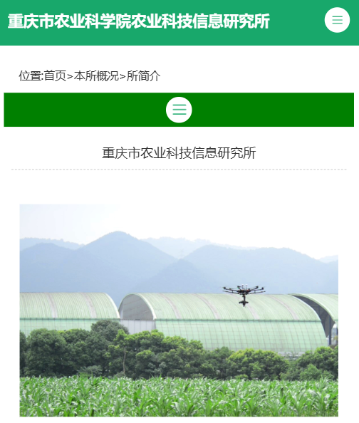 丘陵山地的智能突围 重庆农业无人自动驾驶技术如何重塑山地农业