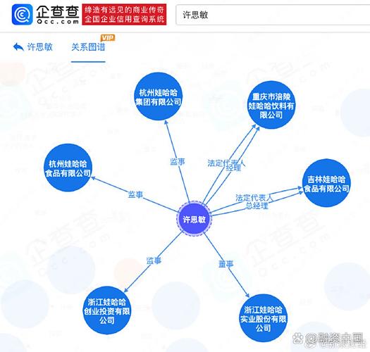许思敏与娃哈哈信息系统 从企查查数据看企业数字化人才的布局