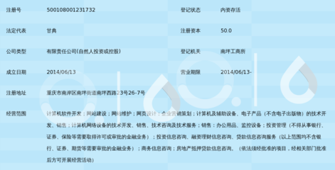 重庆渝华宝科技有限公司 信息系统服务领域的区域力量